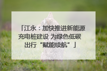 江永：加快推进新能源充电桩建设 为绿色低碳出行“赋能续航”