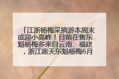 江浙杨梅采摘游本周末或迎小高峰！目前在售东魁杨梅多来自云南、福建，浙江露天东魁杨梅6月中旬大量上市