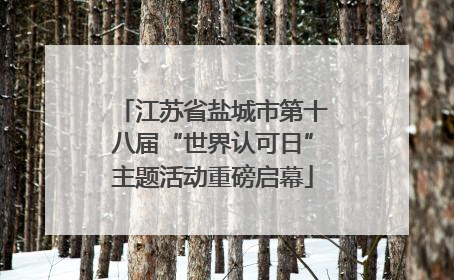 江苏省盐城市第十八届“世界认可日”主题活动重磅启幕