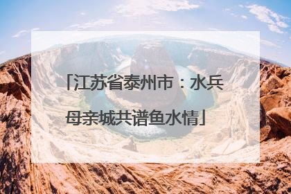 江苏省泰州市：水兵母亲城共谱鱼水情