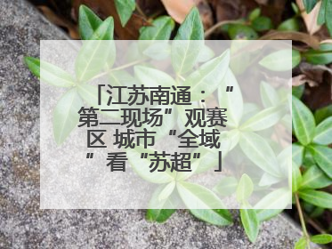 江苏南通：“第二现场”观赛区 城市“全域”看“苏超”