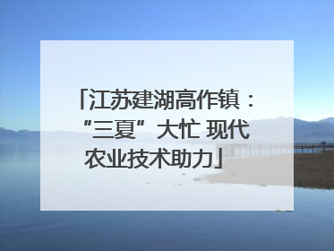 江苏建湖高作镇：“三夏”大忙 现代农业技术助力