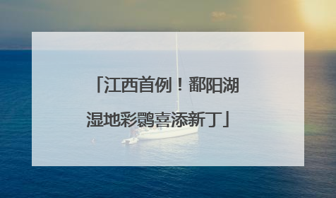 江西首例！鄱阳湖湿地彩鹮喜添新丁