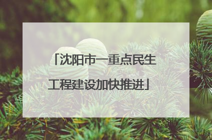 沈阳市一重点民生工程建设加快推进
