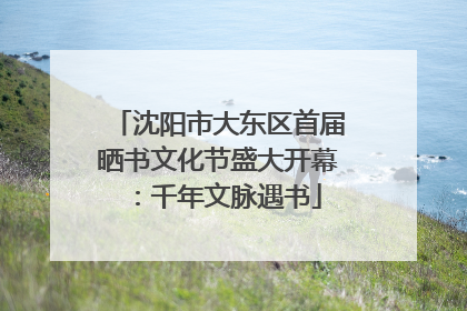 沈阳市大东区首届晒书文化节盛大开幕：千年文脉遇书