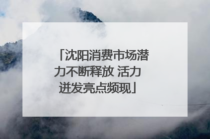 沈阳消费市场潜力不断释放 活力迸发亮点频现