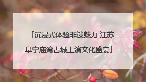 沉浸式体验非遗魅力 江苏阜宁庙湾古城上演文化盛宴