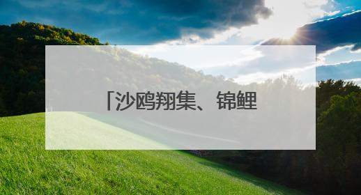 沙鸥翔集、锦鲤漫游：这处工业岸线变身生态长廊