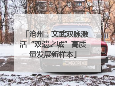 沧州：文武双脉激活“双遗之城”高质量发展新样本