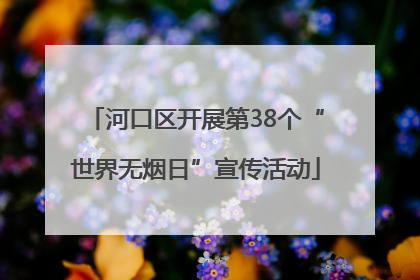 河口区开展第38个“世界无烟日”宣传活动
