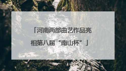 河南两部曲艺作品亮相第八届“南山杯”