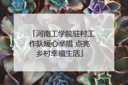 河南工学院驻村工作队暖心举措 点亮乡村幸福生活