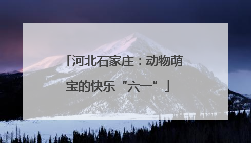 河北石家庄：动物萌宝的快乐“六一”