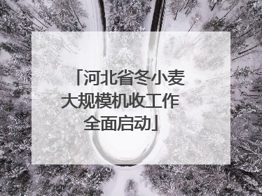 河北省冬小麦大规模机收工作全面启动