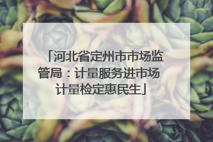 河北省定州市市场监管局：计量服务进市场 计量检定惠民生