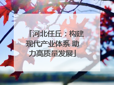 河北任丘：构建现代产业体系 助力高质量发展