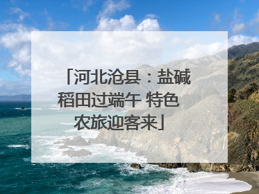 河北沧县：盐碱稻田过端午 特色农旅迎客来