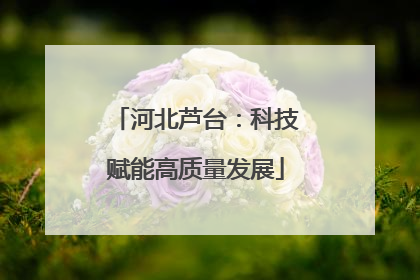河北芦台：科技赋能高质量发展