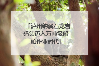 泸州纳溪石龙岩码头迈入万吨级船舶作业时代