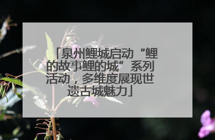 泉州鲤城启动“鲤的故事鲤的城”系列活动，多维度展现世遗古城魅力