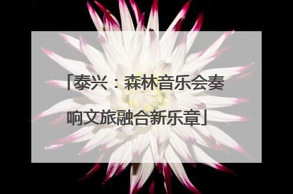 泰兴：森林音乐会奏响文旅融合新乐章