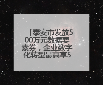 泰安市发放500万元数据要素券，企业数字化转型最高享5万元补贴