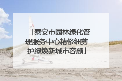泰安市园林绿化管理服务中心精修细剪护绿焕新城市容颜