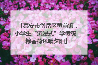泰安市岱岳区黄前镇：小学生“沉浸式”学传统 粽香荷包暖夕阳