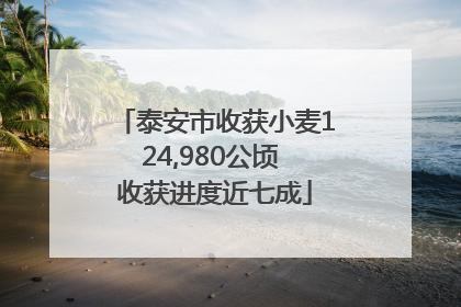 泰安市收获小麦124,980公顷 收获进度近七成