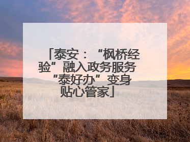 泰安：“枫桥经验”融入政务服务 “泰好办”变身贴心管家
