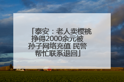 泰安：老人卖樱桃挣得2000余元被孙子网络充值 民警帮忙联系退回