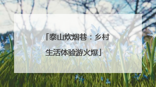 泰山炊烟巷：乡村生活体验游火爆