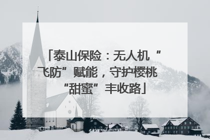 泰山保险：无人机“飞防”赋能，守护樱桃“甜蜜”丰收路