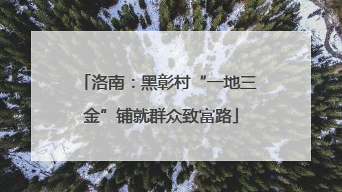 洛南：黑彰村“一地三金”铺就群众致富路