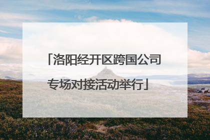 洛阳经开区跨国公司专场对接活动举行