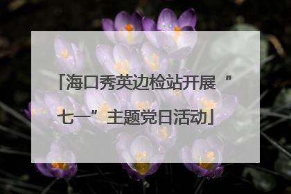 海口秀英边检站开展“七一”主题党日活动