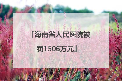 海南省人民医院被罚1506万元