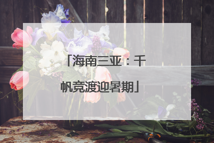 海南三亚：千帆竞渡迎暑期