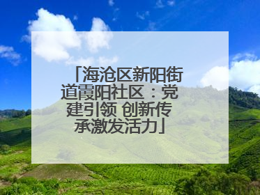 海沧区新阳街道霞阳社区：党建引领 创新传承激发活力