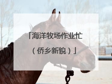 海洋牧场作业忙（侨乡新貌）