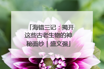 海错三记：揭开这些古老生物的神秘面纱｜盛文强