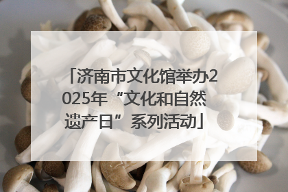 济南市文化馆举办2025年“文化和自然遗产日”系列活动