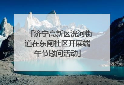 济宁高新区洸河街道在东闸社区开展端午节慰问活动