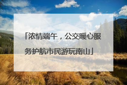 浓情端午，公交暖心服务护航市民游玩南山