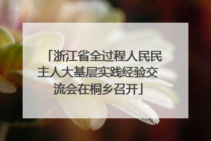 浙江省全过程人民民主人大基层实践经验交流会在桐乡召开