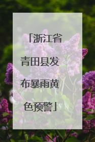 浙江省青田县发布暴雨黄色预警