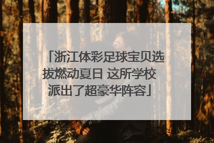 浙江体彩足球宝贝选拔燃动夏日 这所学校派出了超豪华阵容