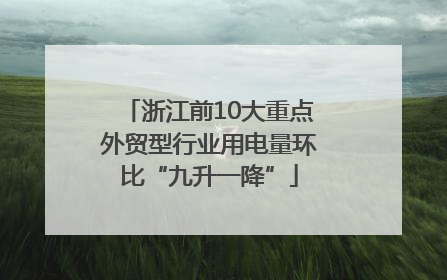 浙江前10大重点外贸型行业用电量环比“九升一降”