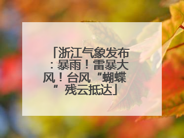 浙江气象发布：暴雨！雷暴大风！台风“蝴蝶”残云抵达