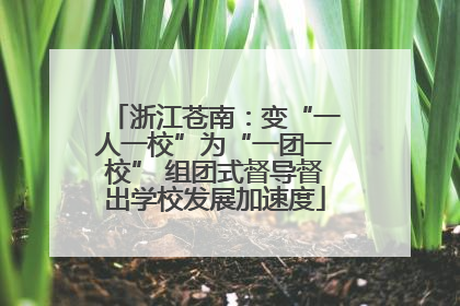 浙江苍南：变“一人一校”为“一团一校” 组团式督导督出学校发展加速度
